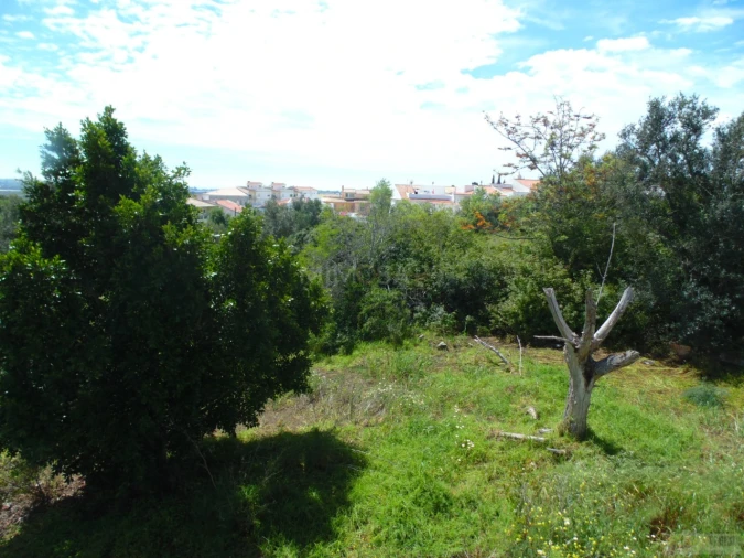 Terreno para Venda em Mexilhoeira Grande Foto 2