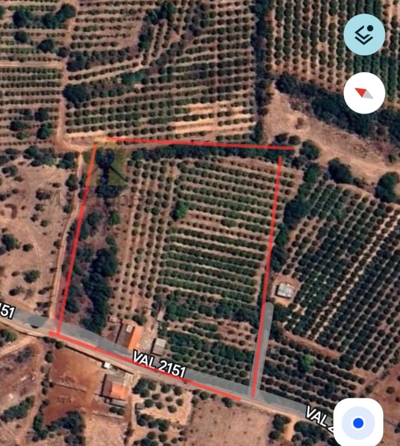 Quinta T4 para Venda em Silves Foto 1