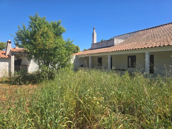 Quinta T4 para Venda em Silves Foto 4