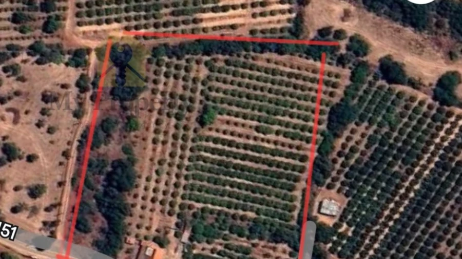 Quinta T4 para Venda em Silves