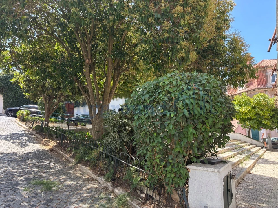 Apartamento T1 para Venda em Misericórdia Foto 11