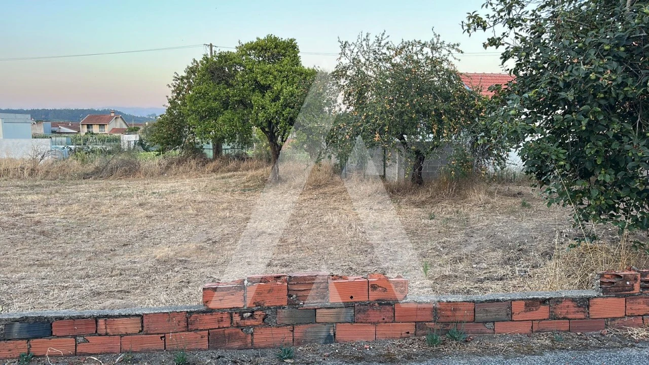 Terreno para Venda em Oiã Foto 2