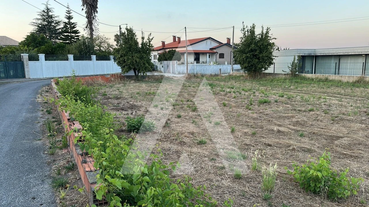 Terreno para Venda em Oiã Foto 3