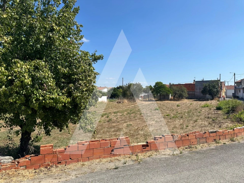 Terreno para Venda em Oiã Foto 6