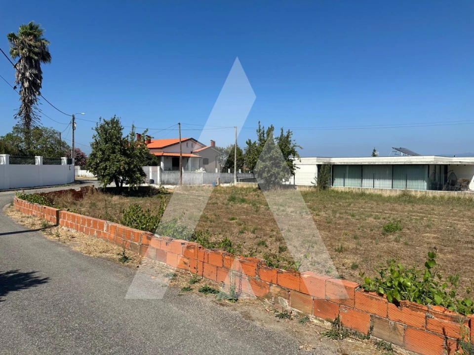 Terreno para Venda em Oiã Foto 11
