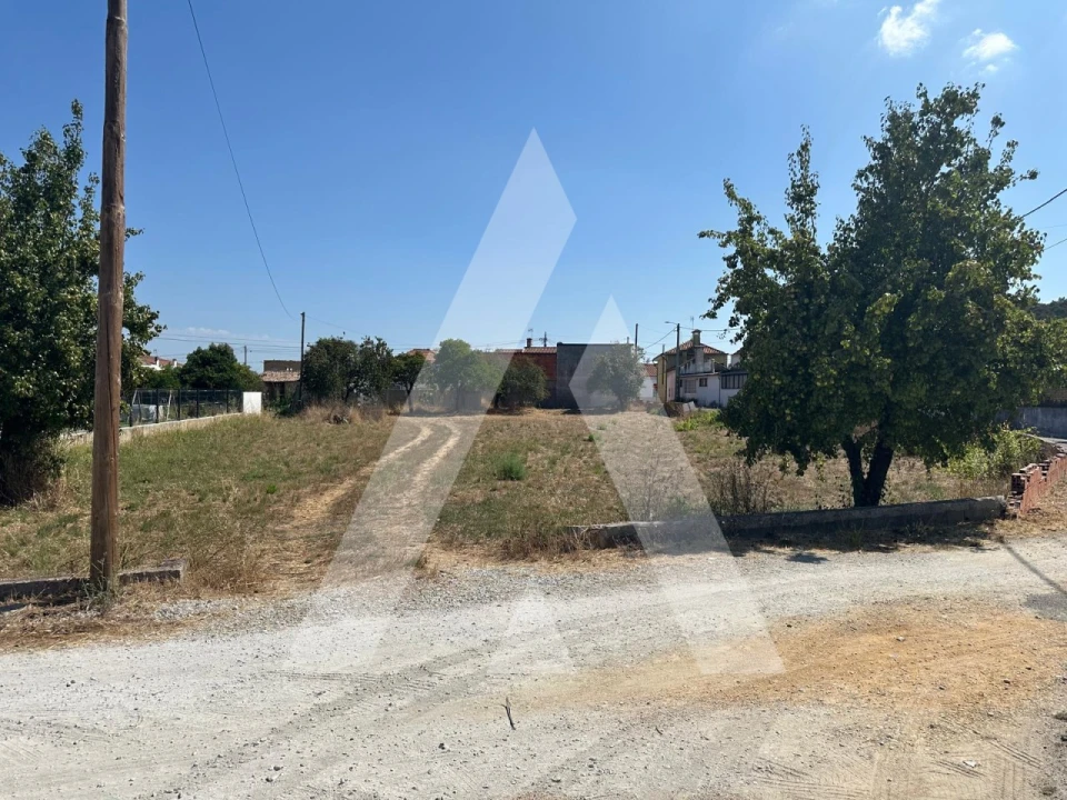 Terreno para Venda em Oiã Foto 14