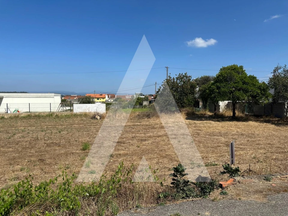 Terreno para Venda em Oiã Foto 17