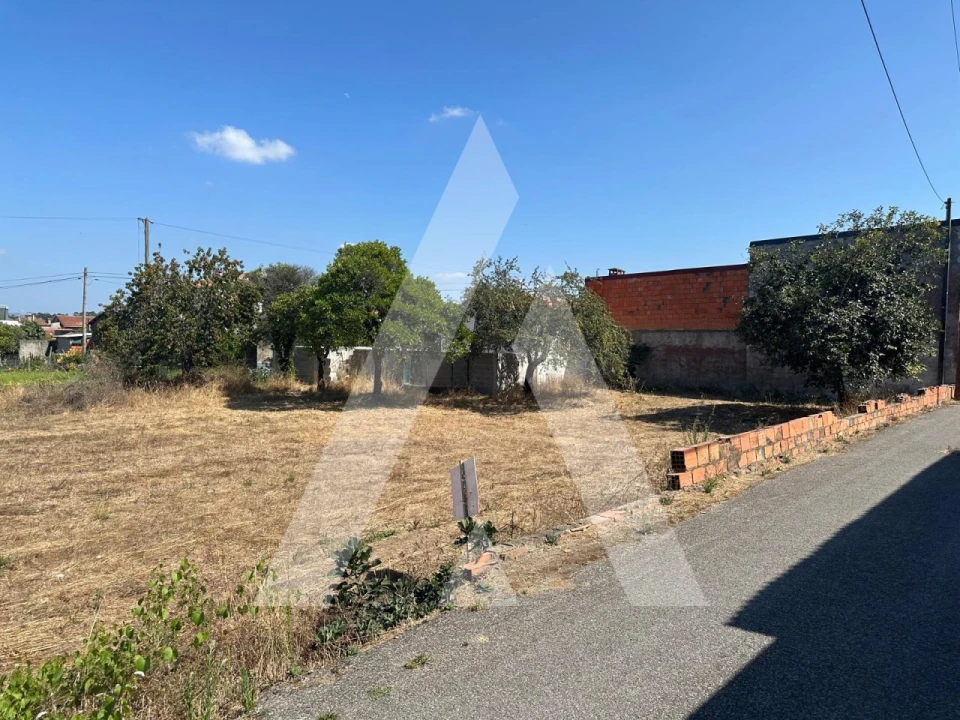 Terreno para Venda em Oiã Foto 22