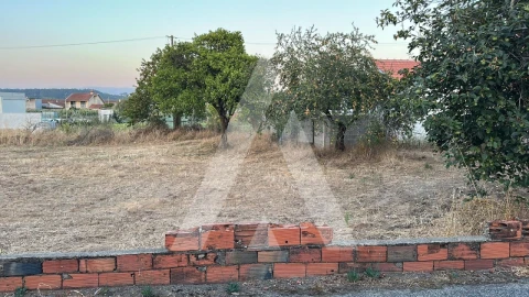 Terreno para Venda em Oiã