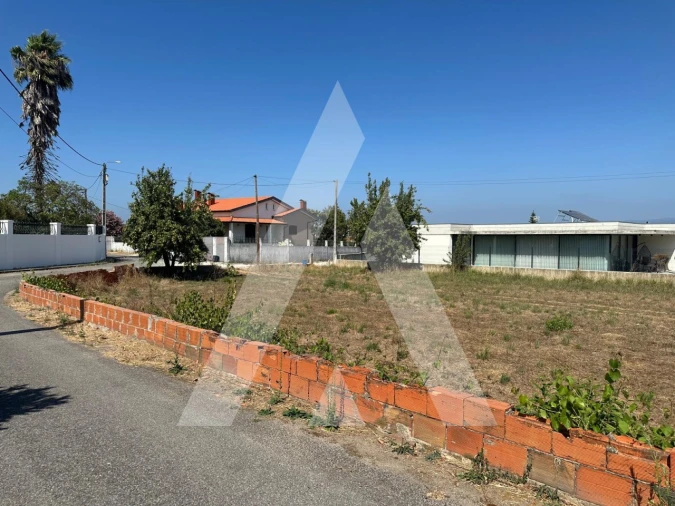 Terreno para Venda em Oiã Foto 7