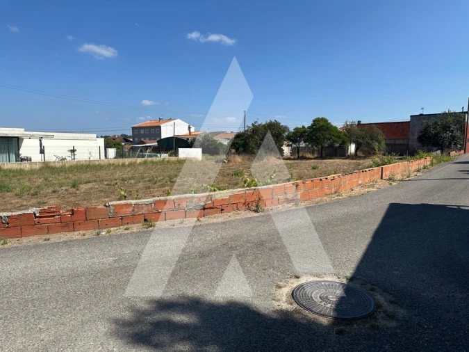 Terreno para Venda em Oiã Foto 8