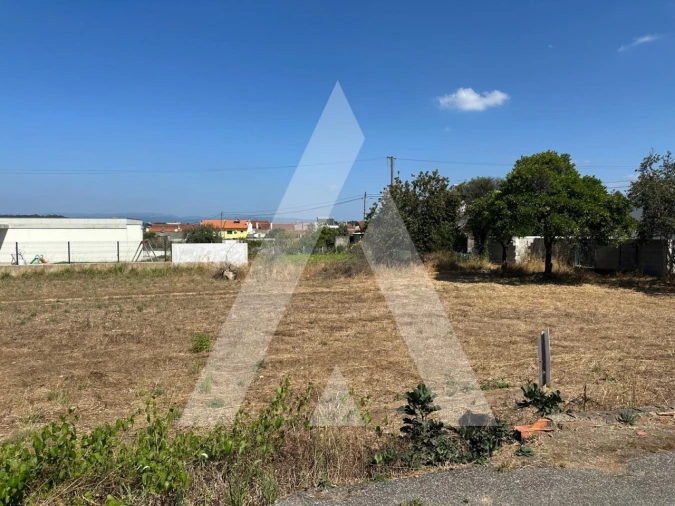 Terreno para Venda em Oiã Foto 17