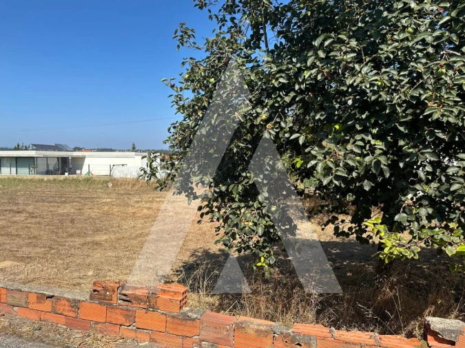 Terreno para Venda em Oiã Foto 20