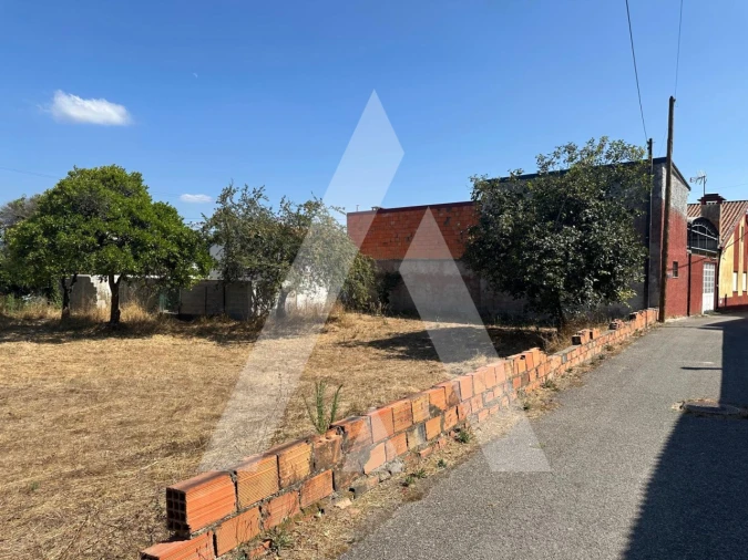 Terreno para Venda em Oiã Foto 21