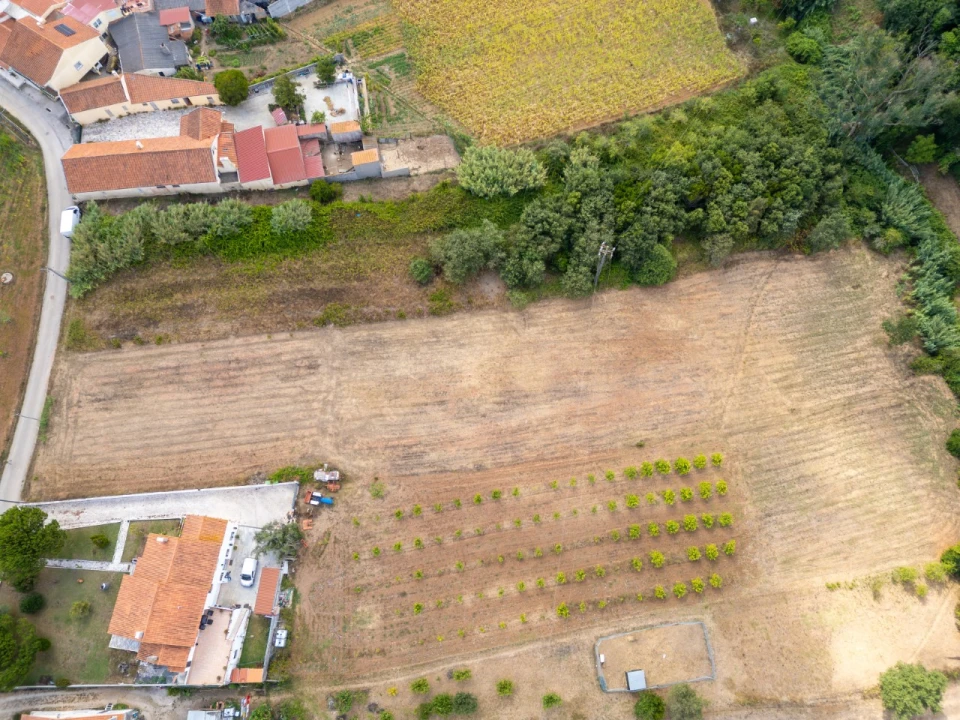 Terreno para Venda em Barrio Foto 6