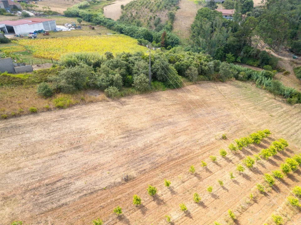 Terreno para Venda em Barrio Foto 9