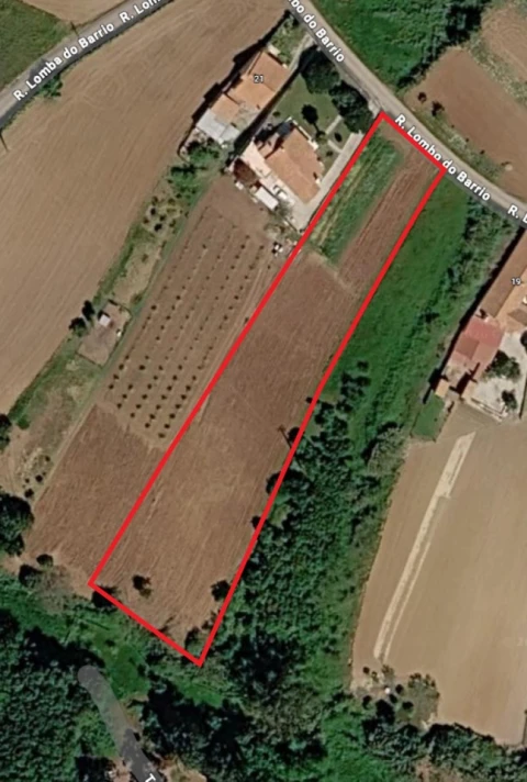 Terreno para Venda em Barrio