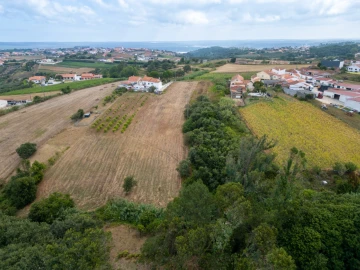 Terreno para Venda em Barrio
