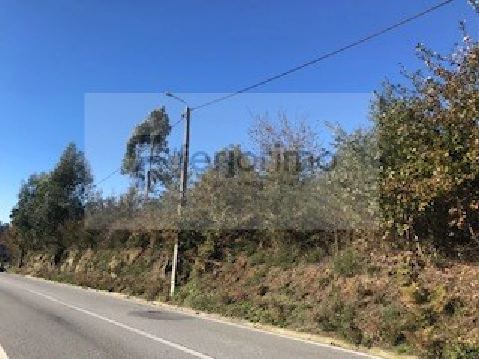 Terreno para Venda em Brito Foto 1