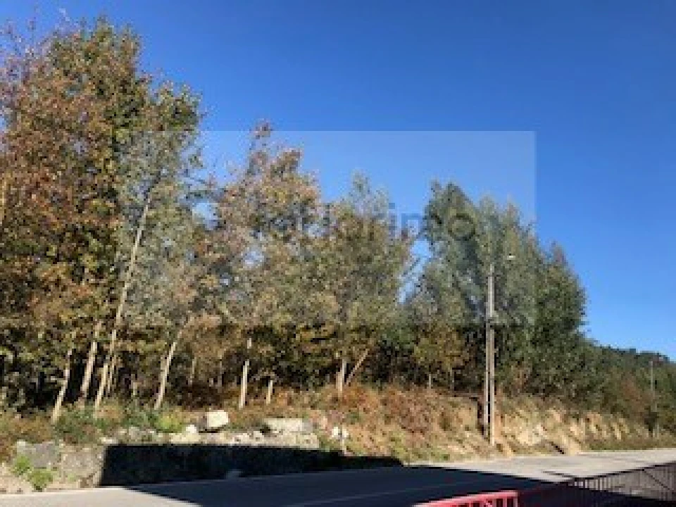 Terreno para Venda em Brito Foto 4