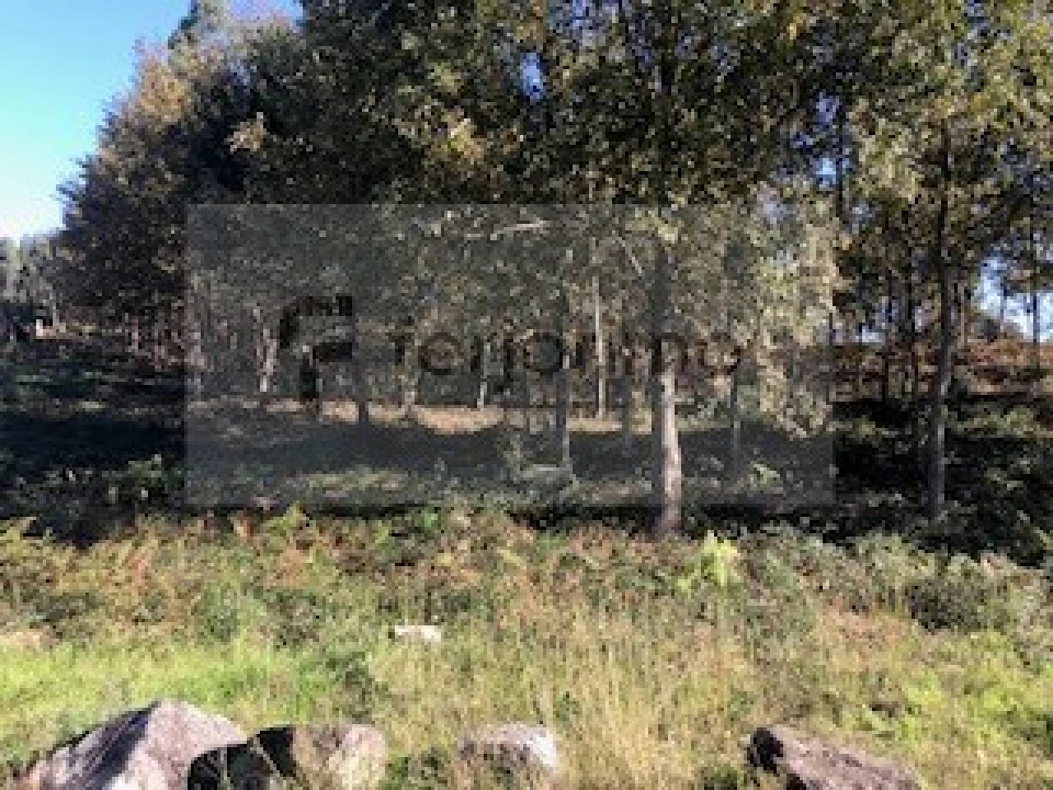 Terreno para Venda em Brito Foto 8