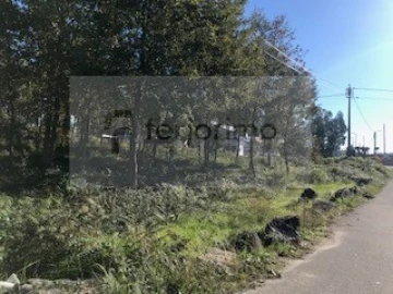 Terreno para Venda em Brito