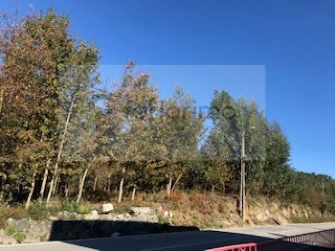 Terreno para Venda em Brito Foto 4