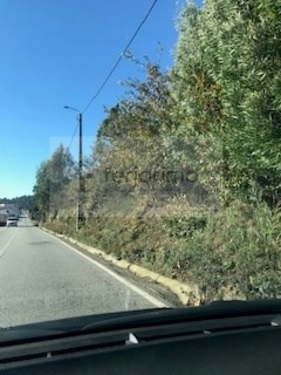 Terreno para Venda em Brito Foto 7