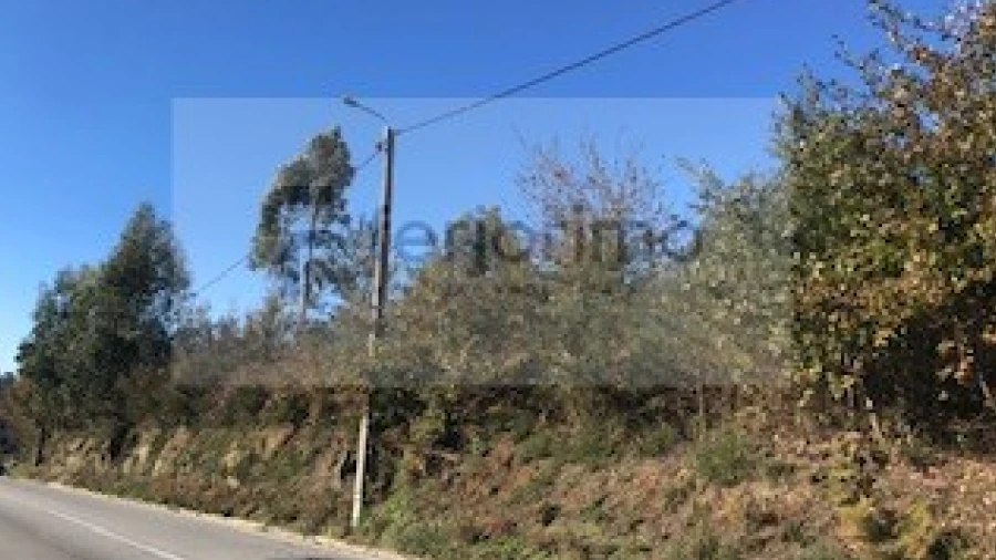 Terreno para Venda em Brito