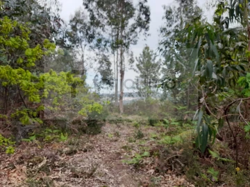 Terreno para Venda em Vilarinho