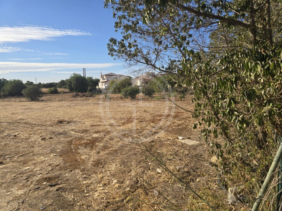 Terreno para Venda em Santa Barbara de Nexe Foto 3