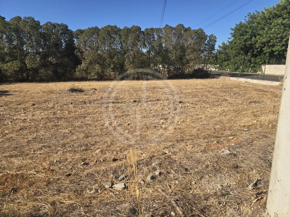 Terreno para Venda em Santa Barbara de Nexe Foto 1