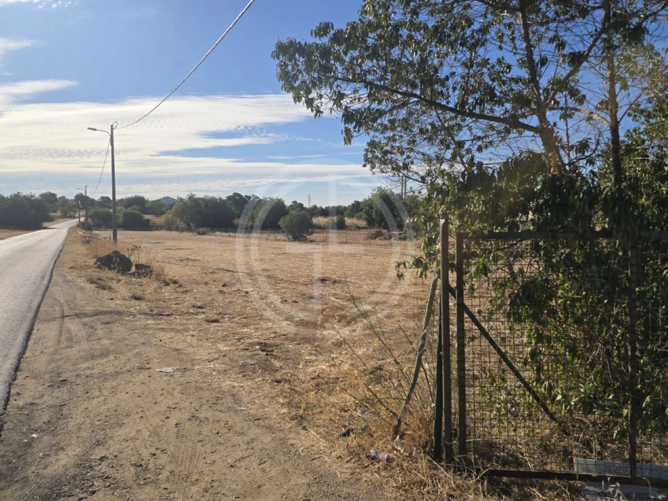 Terreno para Venda em Santa Barbara de Nexe Foto 9