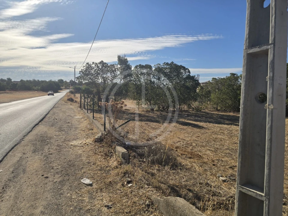Terreno para Venda em Santa Barbara de Nexe Foto 10