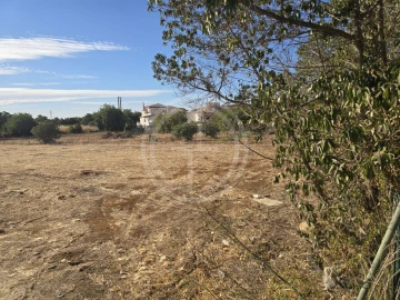 Terreno para Venda em Santa Barbara de Nexe