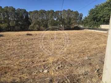 Terreno para Venda em Santa Barbara de Nexe