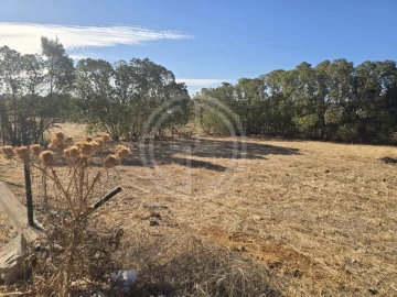 Terreno para Venda em Santa Barbara de Nexe