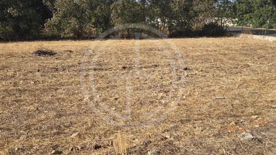 Terreno para Venda em Santa Barbara de Nexe