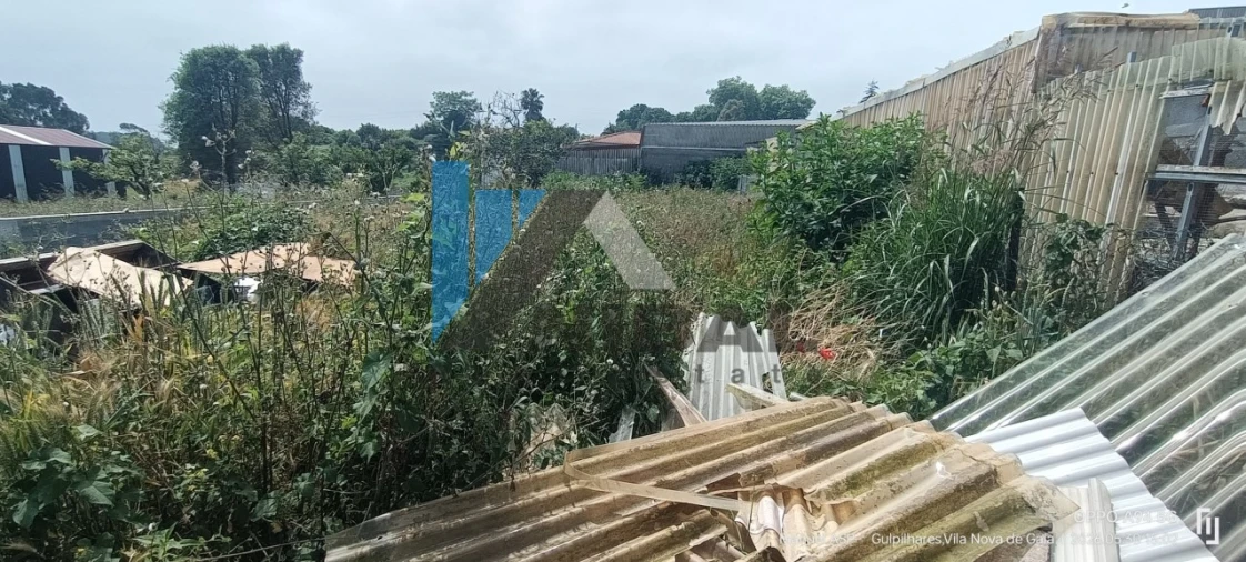 Armazém para Venda em Arcozelo Foto 8