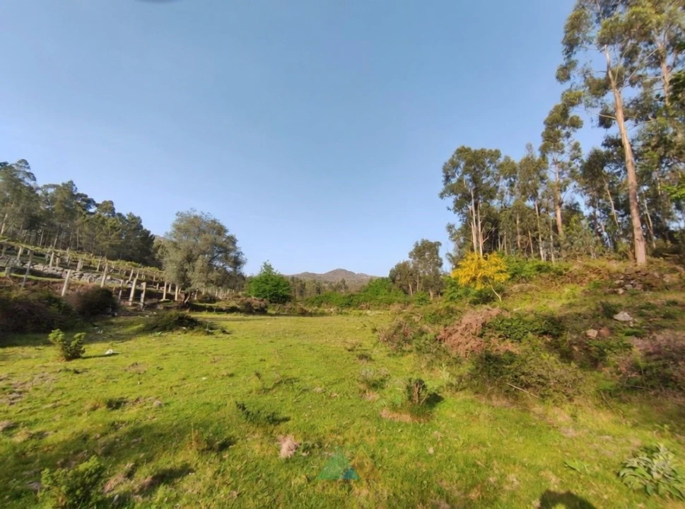 Terreno para Venda em Gondoriz Foto 1