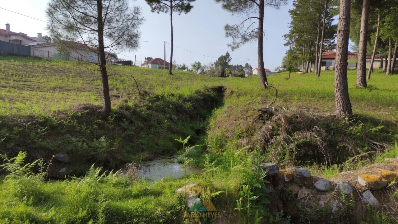 Terreno para Venda em Gondoriz Foto 2