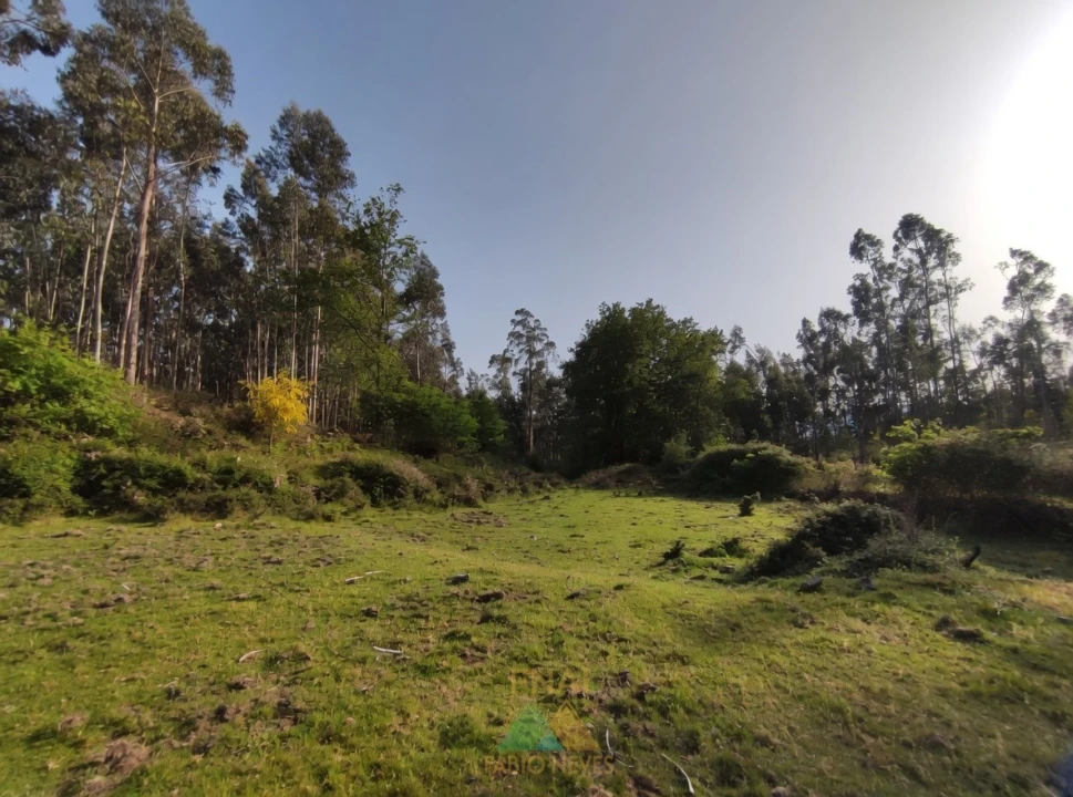 Terreno para Venda em Gondoriz Foto 3
