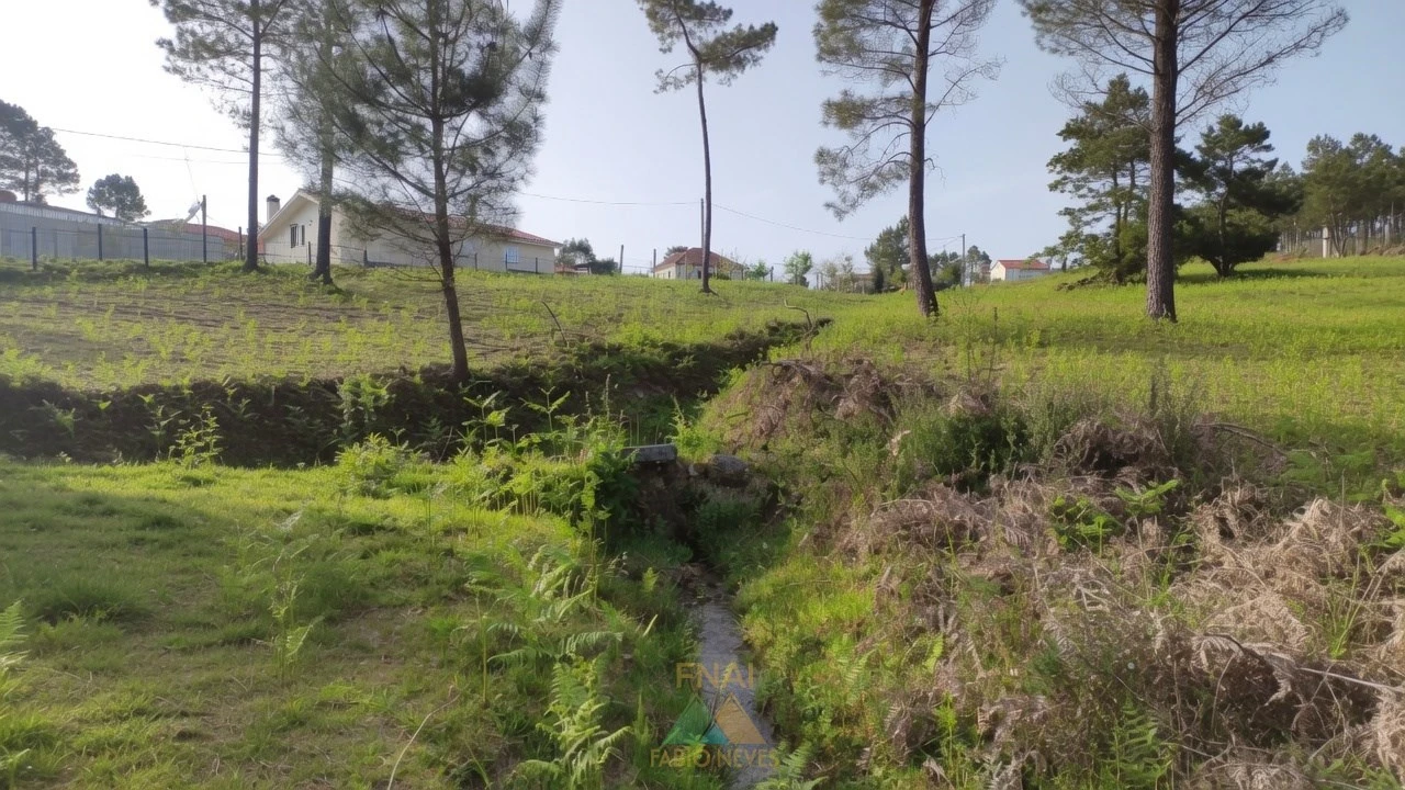 Terreno para Venda em Gondoriz Foto 4
