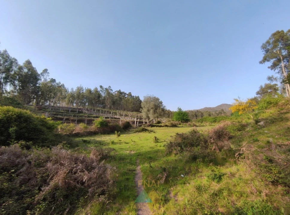 Terreno para Venda em Gondoriz Foto 5