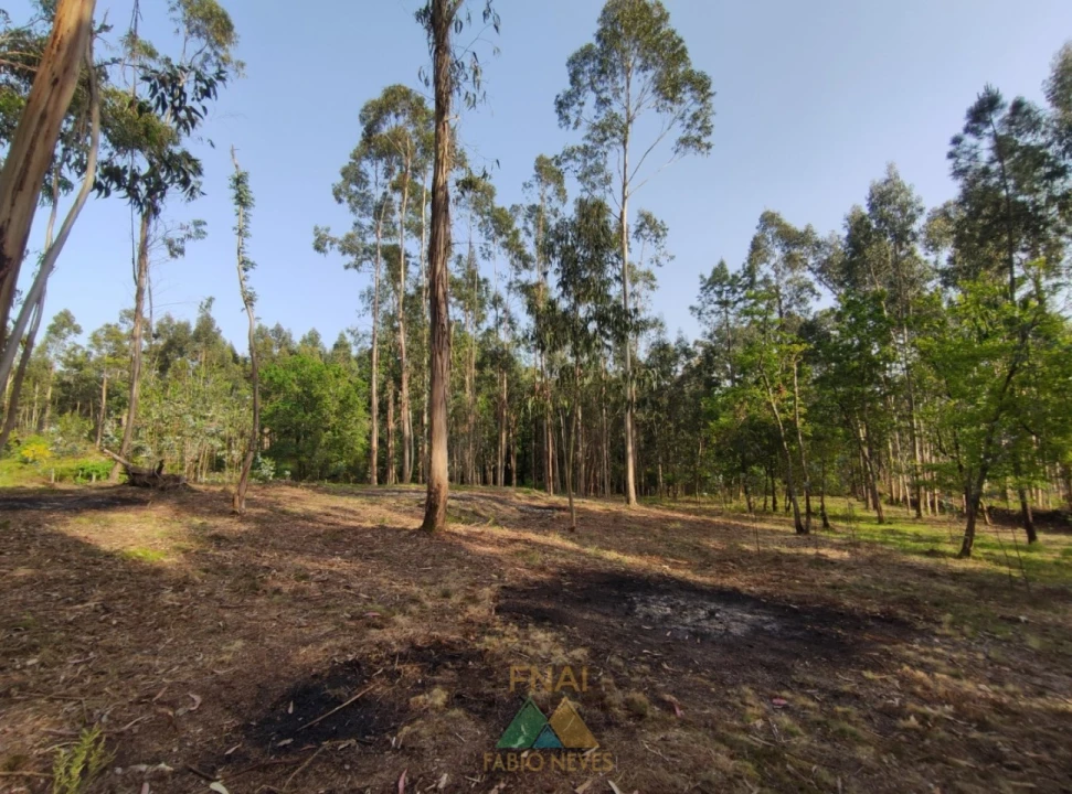 Terreno para Venda em Gondoriz Foto 6