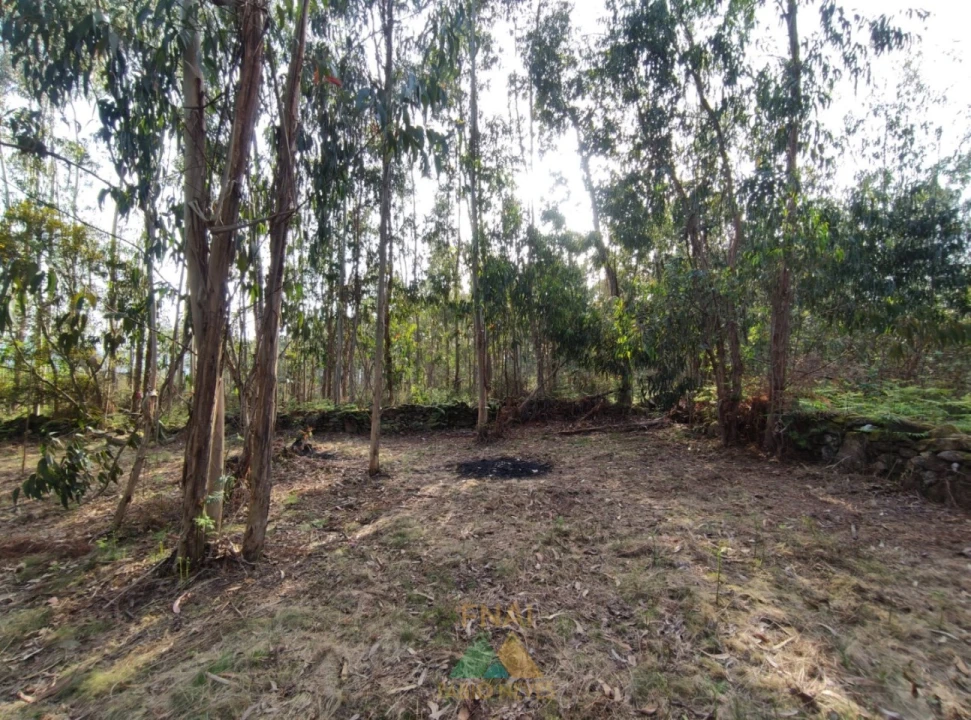 Terreno para Venda em Gondoriz Foto 8