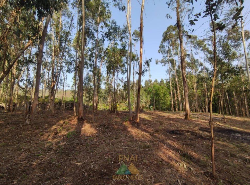 Terreno para Venda em Gondoriz Foto 9