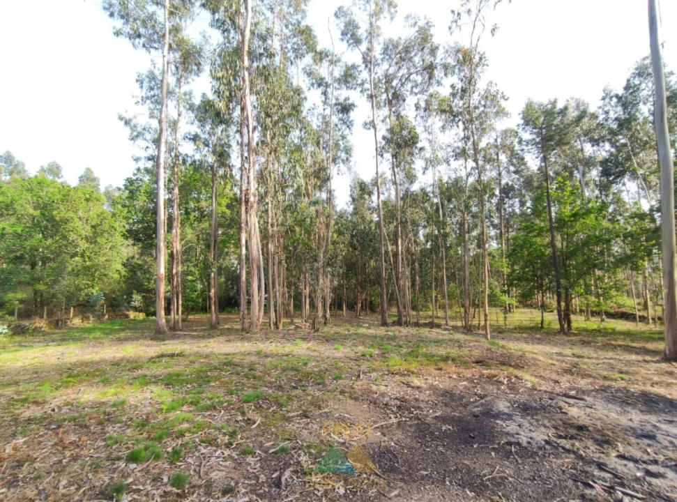 Terreno para Venda em Gondoriz Foto 10