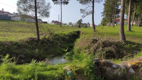Terreno para Venda em Gondoriz