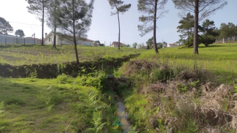 Terreno para Venda em Gondoriz